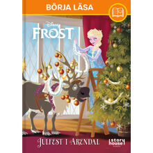 Börja Läsa: Julfest I Arendal