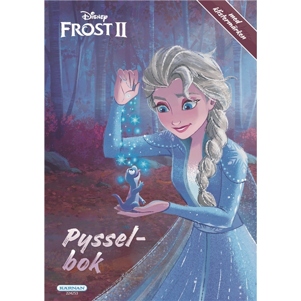 Frozen 2 Pysselbok (Bild 1 av 2)