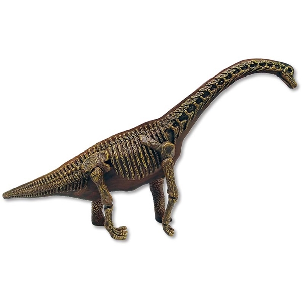 Dinosaur World Realistic 2-sidig Brachiosaurus (Bild 3 av 3)