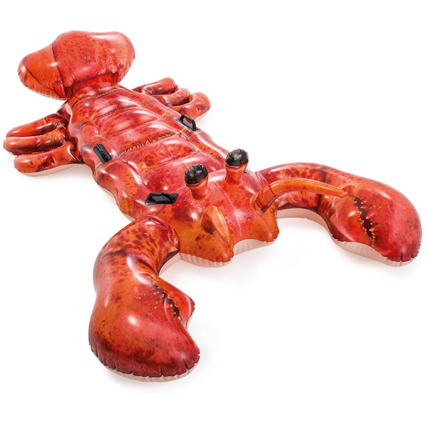INTEX Lobster (Bild 1 av 2)