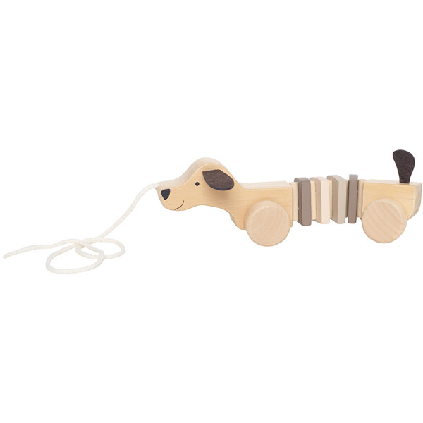 Jabadabado Dragdjur Puppy (Bild 1 av 4)
