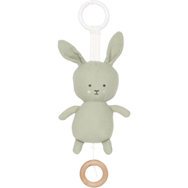 Jabadabado Speldosa Bunny Grön (Bild 1 av 2)