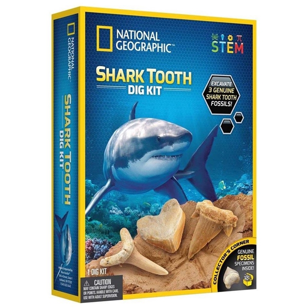 Lernspielzeug National Geographic Haifischzahn Shark Tooth Dig Kit Spielset 