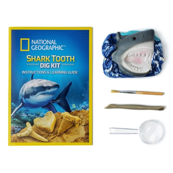 Lernspielzeug National Geographic Haifischzahn Shark Tooth Dig Kit Spielset 