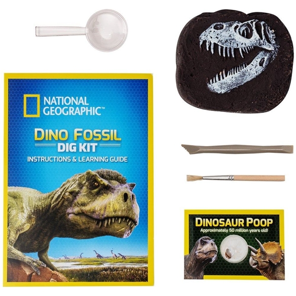National Geographic Dinosaur Dig Kit (Bild 2 av 5)