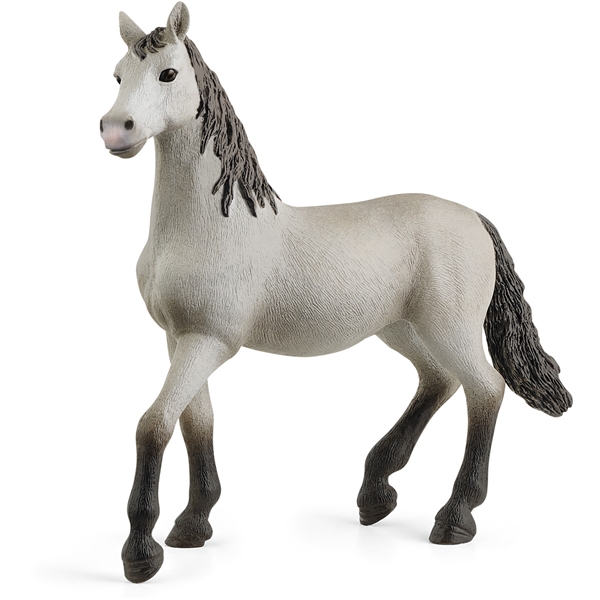 Schleich 13924 Pura Raza Espanola Young Horse