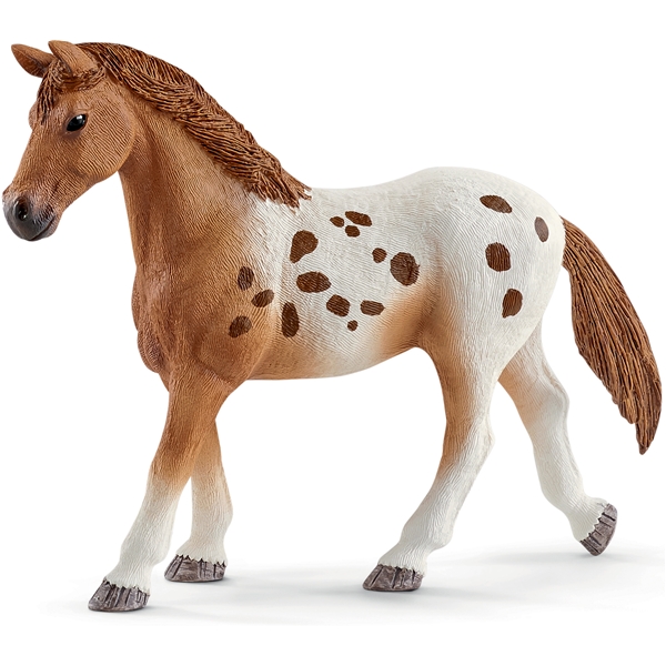 Schleich 42433 Hästklubb Lisas dressyr (Bild 2 av 7)