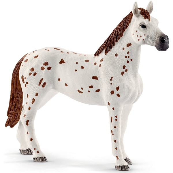 Schleich 42433 Hästklubb Lisas dressyr (Bild 3 av 7)