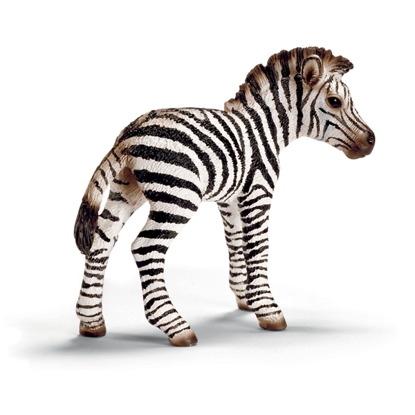 Schleich Zebra Föl