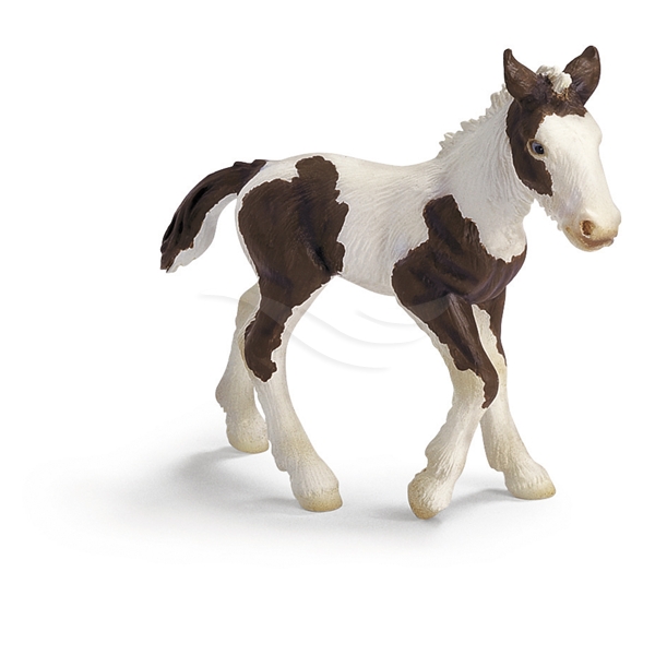 Schleich Tinker, Föl