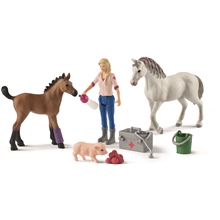 Schleich 42486 Veterinärbesök hos Sto och Föl