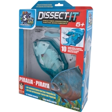 Dissect It Piraya