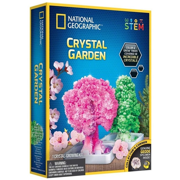 National Geographic Crystal Garden Kit (Bild 1 av 4)