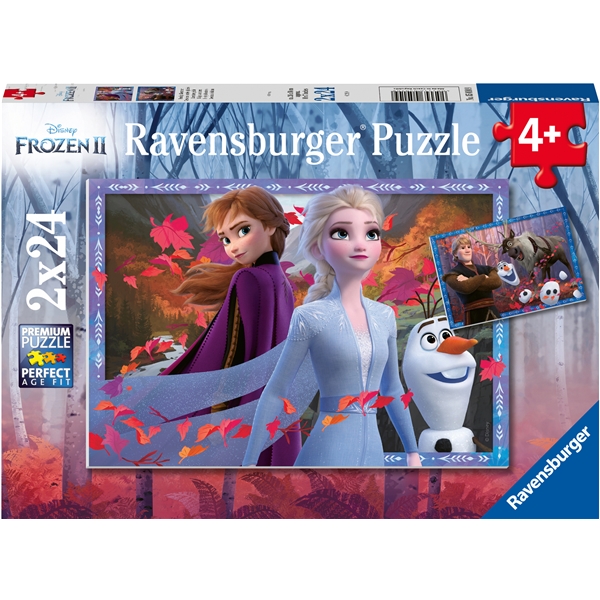 Pussel 2 x 24 Bitar Disney Frozen 2 (Bild 1 av 3)