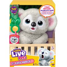 Little Live Pets My Baby Koala