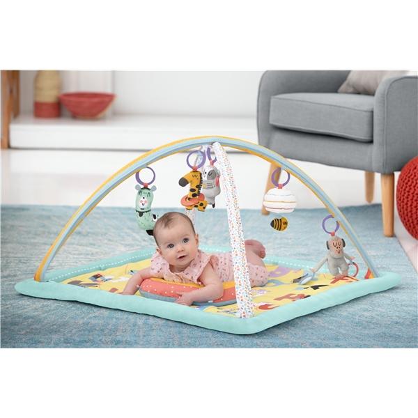 Skip Hop ABC&Me Babygym (Bild 3 av 9)