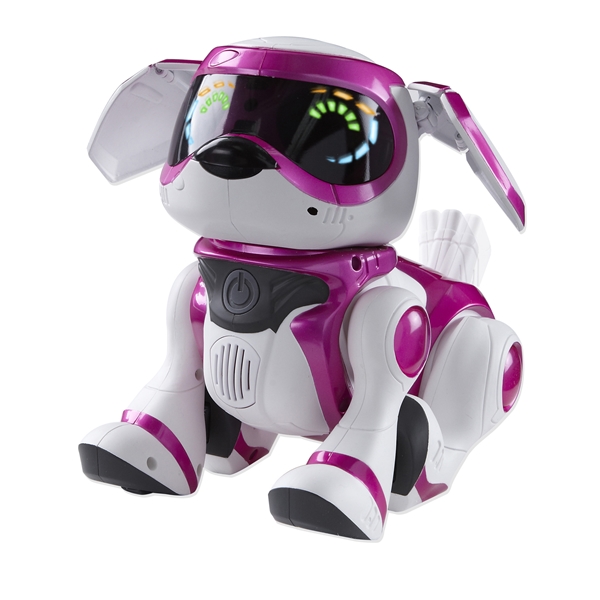 Teksta Robothund Rosa (Bild 5 av 5)