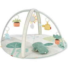 Skip Hop Garden Oasis Babygym