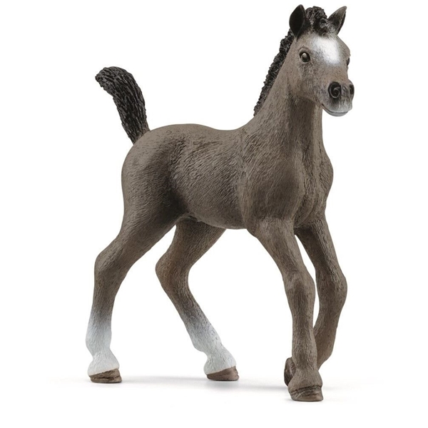 Schleich 13957 Cheval de Selle Fr. foal (Bild 1 av 3)