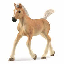 Schleich 13951 Haflinger foal