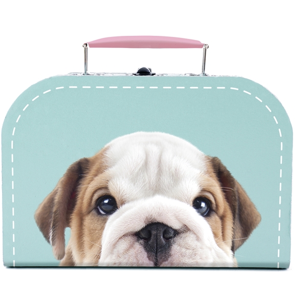 Studio Pets Plush Star 23 cm (Bild 3 av 5)