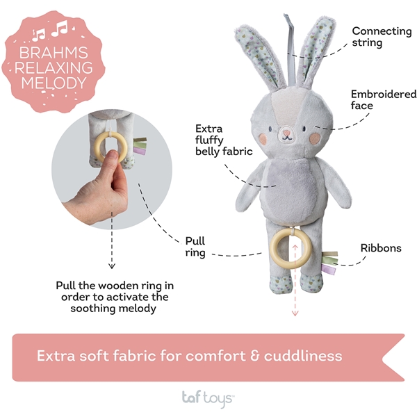 Taf Toys Rylee Musical Bunny (Bild 6 av 6)