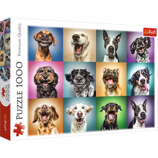 Pussel 1000 Bitar - Funny dogs