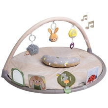 Taf Toys Tummy-Time Activity Gym