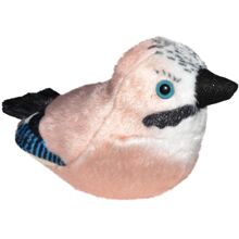 Nötskrika